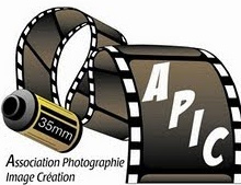 logo APIC